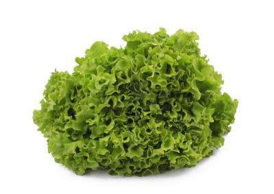 Салат айсберг 300 г - купить в Брыкаланске